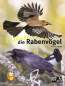Preview: Entdecke die Rabenvögel